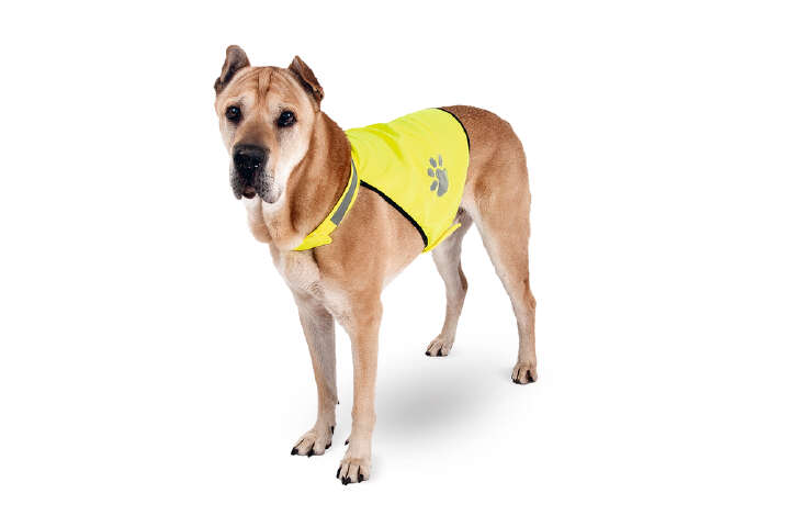 KARLIE Night Walk Sicherheitsweste